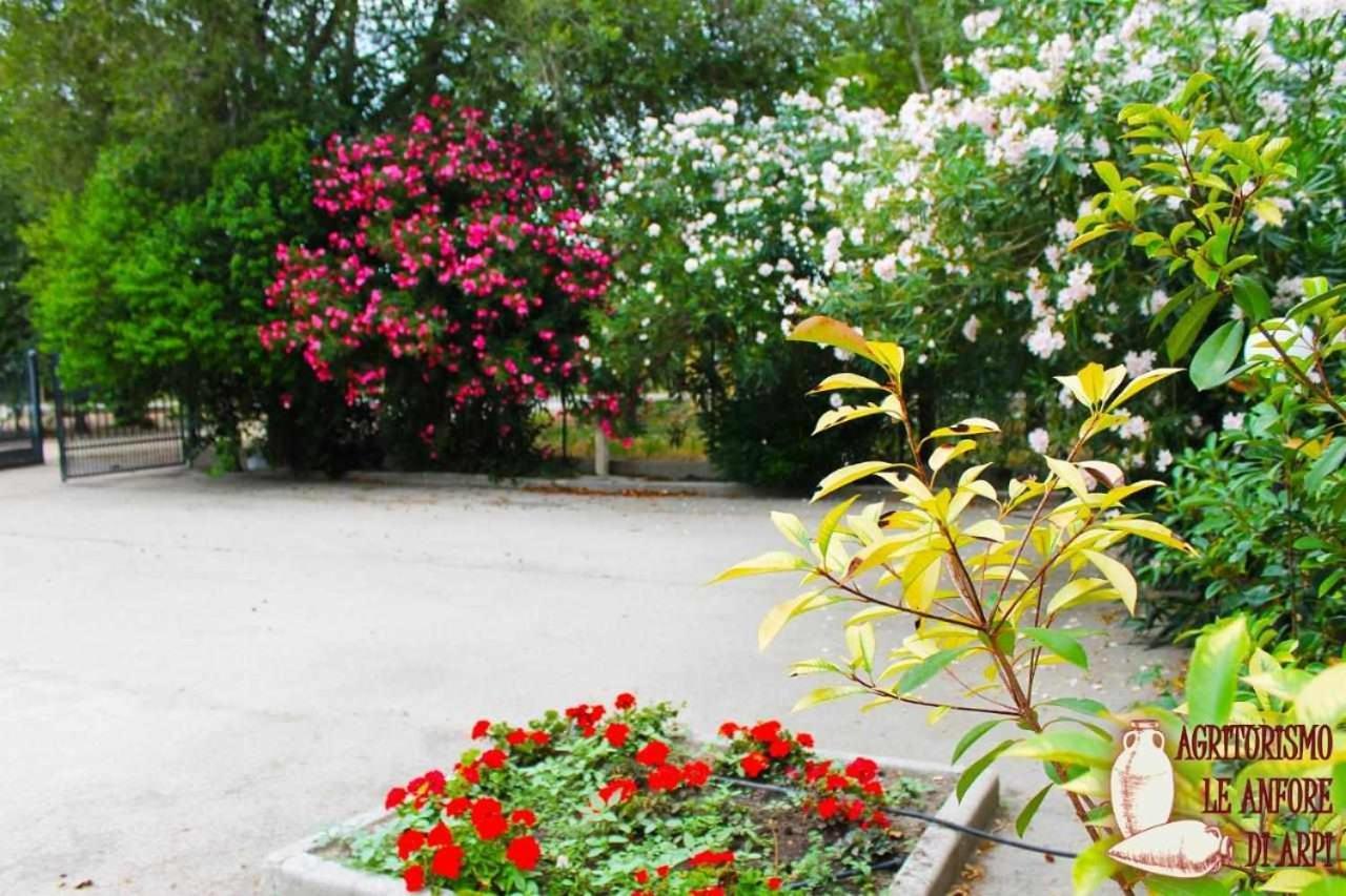 Le Anfore Di Arpi Foggia Rum bild
